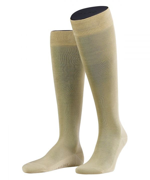 Tiago men's knee socks | Brown