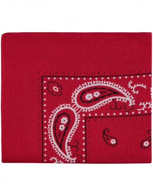 Farmer's Handkerchief | Paisley Red