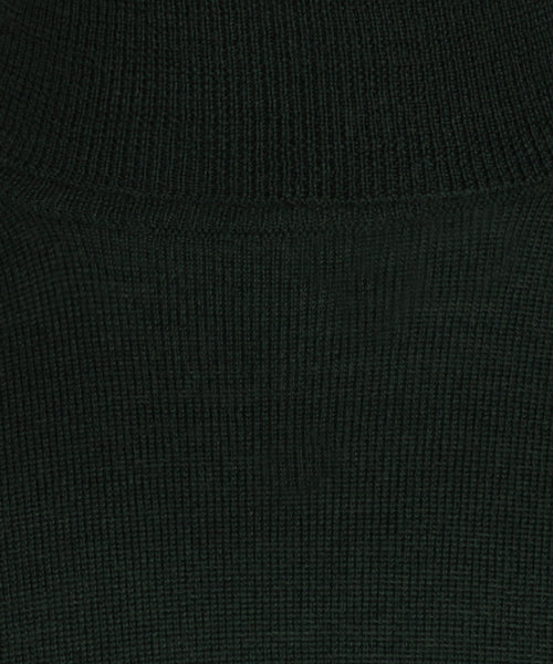 Turtleneck Merino wool | Green