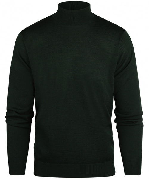 Turtle sweater Merino wool | Green