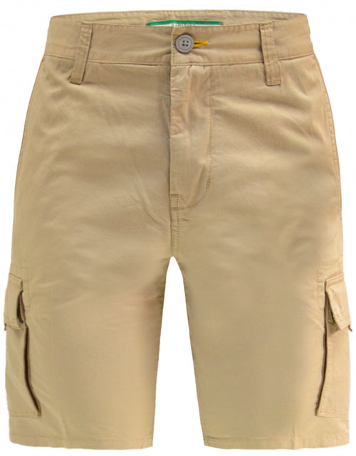 Cargo shorts | Brown