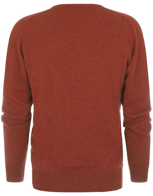 Pullover v-neck lambswool *Sale* | Tiger