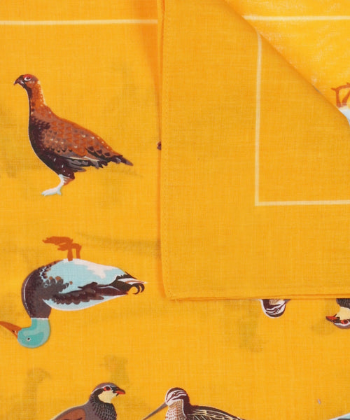 Handkerchief Birds | Orange